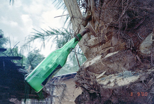 Ristorante nella foresta e produzione Palm Wine