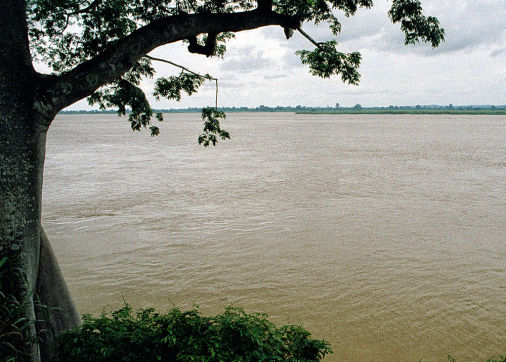 Piena del Fiume Niger - Asaba