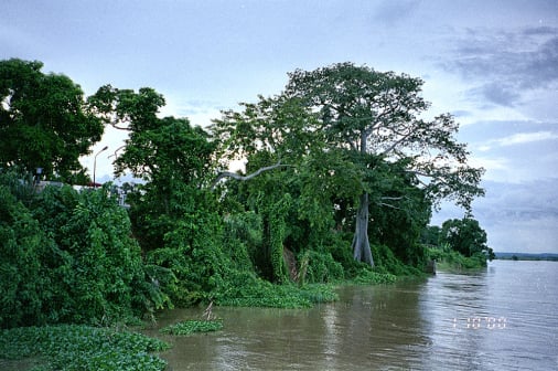 Livello normale delle acque del Fiume Niger presso Asaba