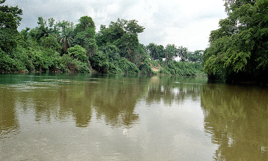 Foto Vincenzo Avagliano Confluenza del Lago Oguta nel Ulasi River