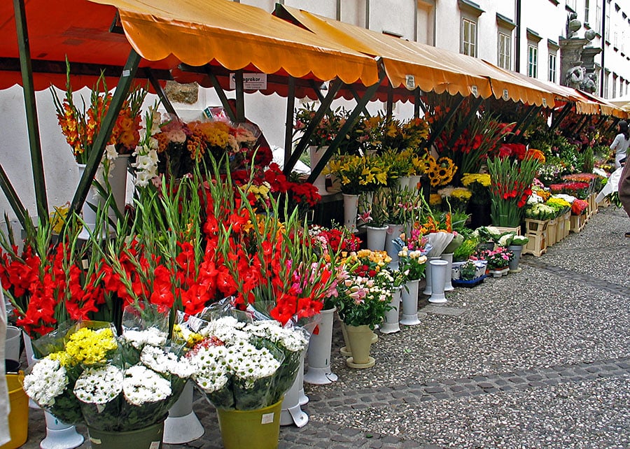 Il mercato dei fiori si sviluppa proprio nella sezione all'aperto - Lubiana