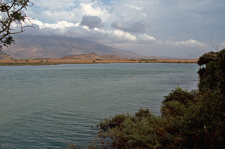 Lago di Butrinto, circondata da monti boscosi, montagne, acqua dolce e paludi salmastre.