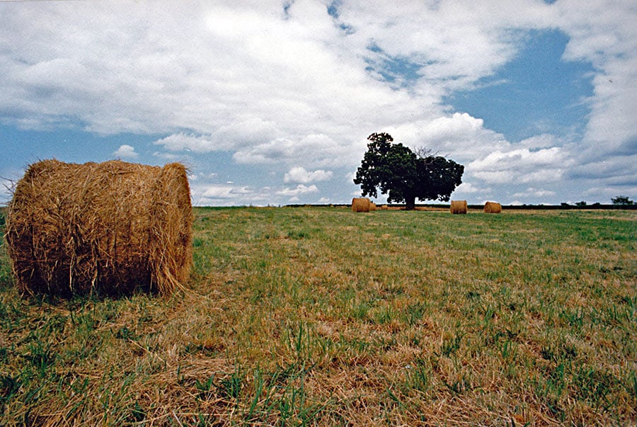 Campagna francese - Saint-Caprais-de-Blaye.
