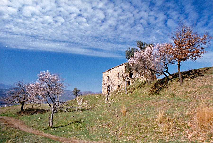 Colline salernitane