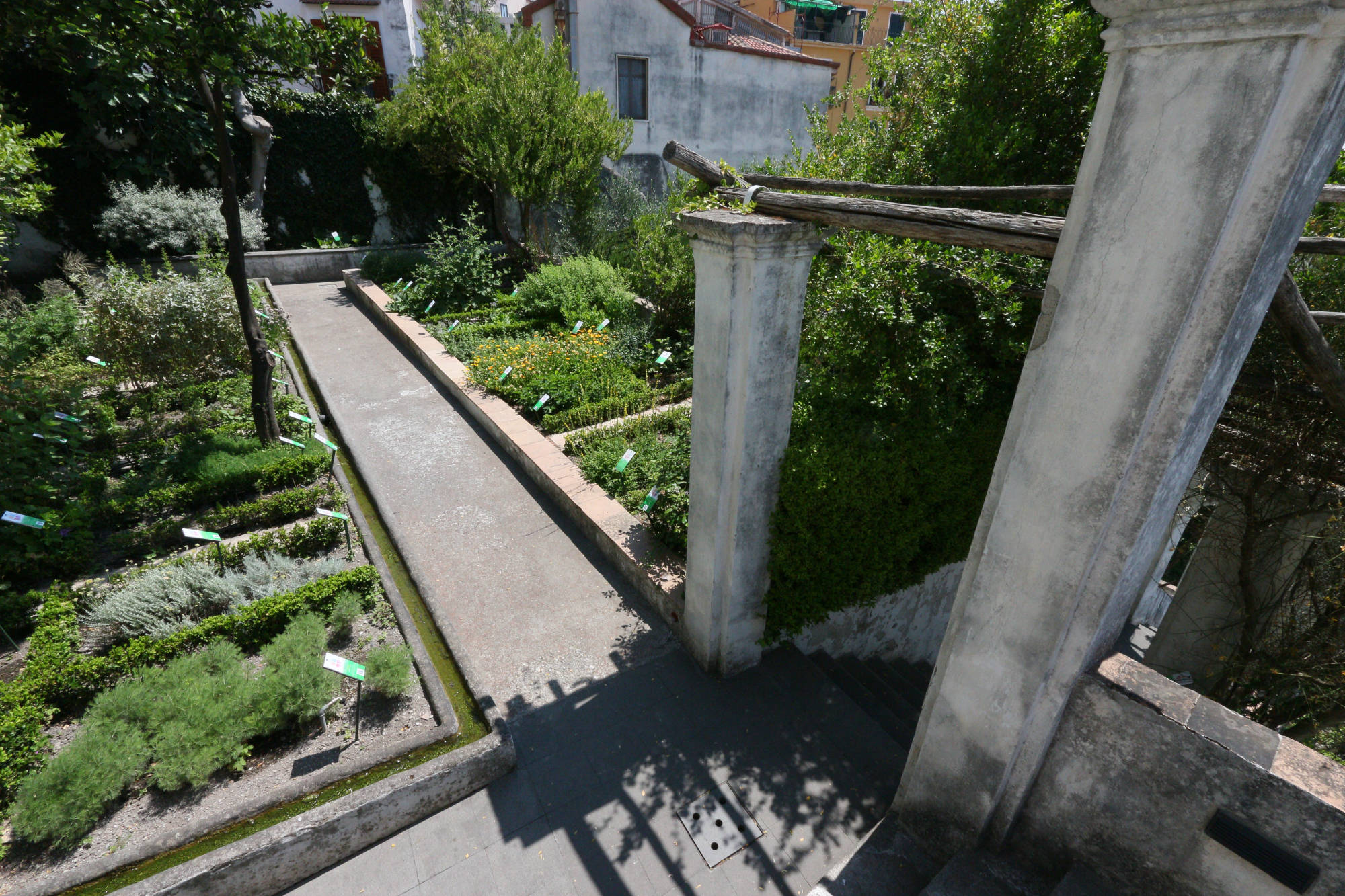 5° livello o terrazzameto Giardino della Minerva Salerno