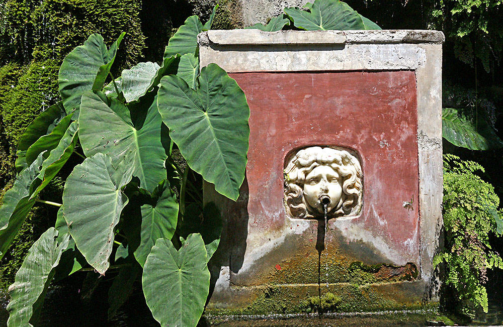 Fontana della Gorgone e sul fondo canalizzazioni