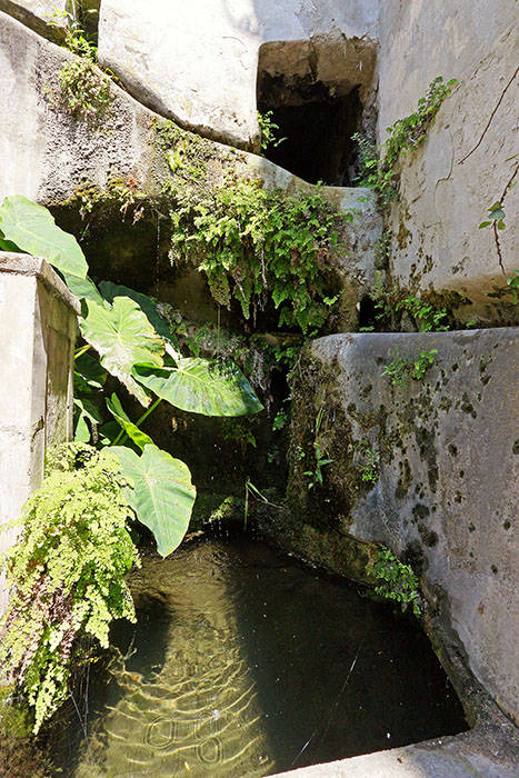 Vasca fontana la Gorgona e canali distribusione acquq sui diversi terrazzamenti