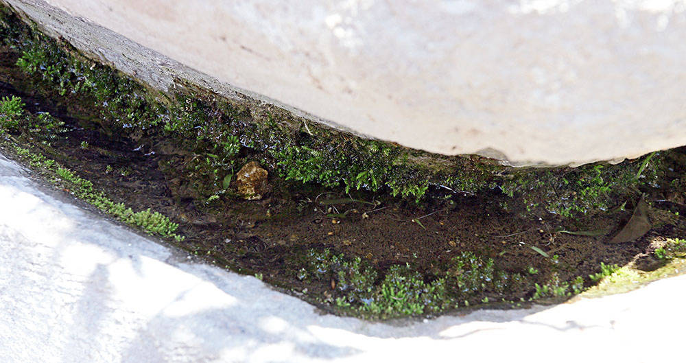 Channel obtained in the retaining wall for the water channeling system between the different "Terrazzamneti" 