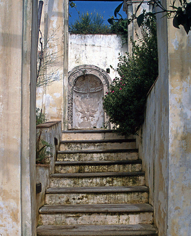 The garden ( botanical garden ) of the Minerva stairway